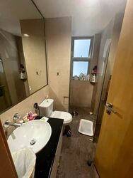 Cairnhill Crest (D9), Condominium #597607291